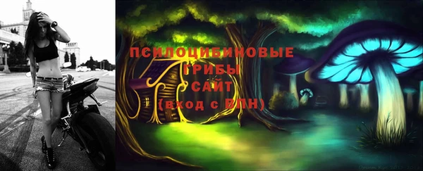 apvp Алексин